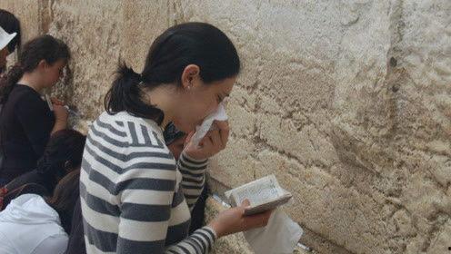 娱乐圈的员工吃瓜